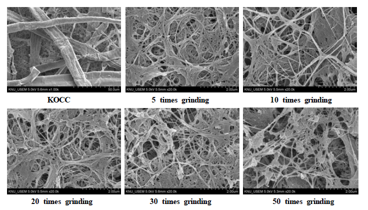 SEM images of fibrillated KOCC