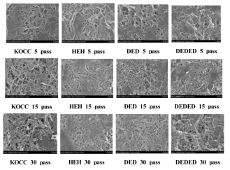 SEM images of MFC manufactured from bleached KOCC