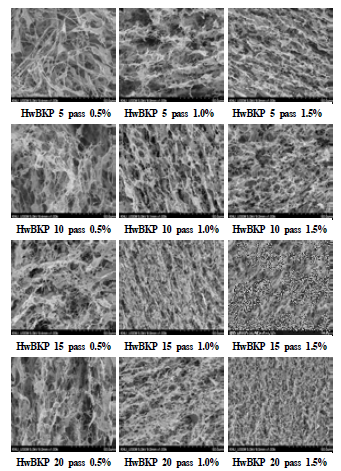 SEM images of aerogels made of fibrillated hardwood bleached kraft pulp