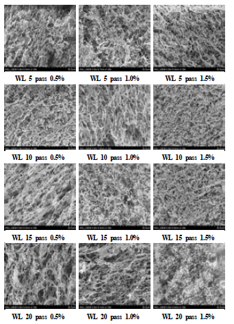 SEM images of aerogels made of fibrillated white ledger deinked pulp