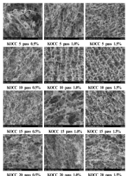 SEM images of aerogels made of fibrillated KOCC