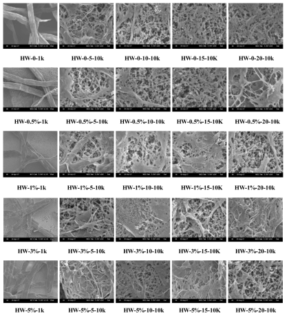 SEM image of MFCs manufactured with HwBKP according to various alkali treatment conditions