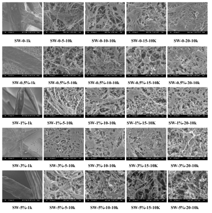 SEM image of MFCs manufactured with SwBKP according to various alkali treatment conditions