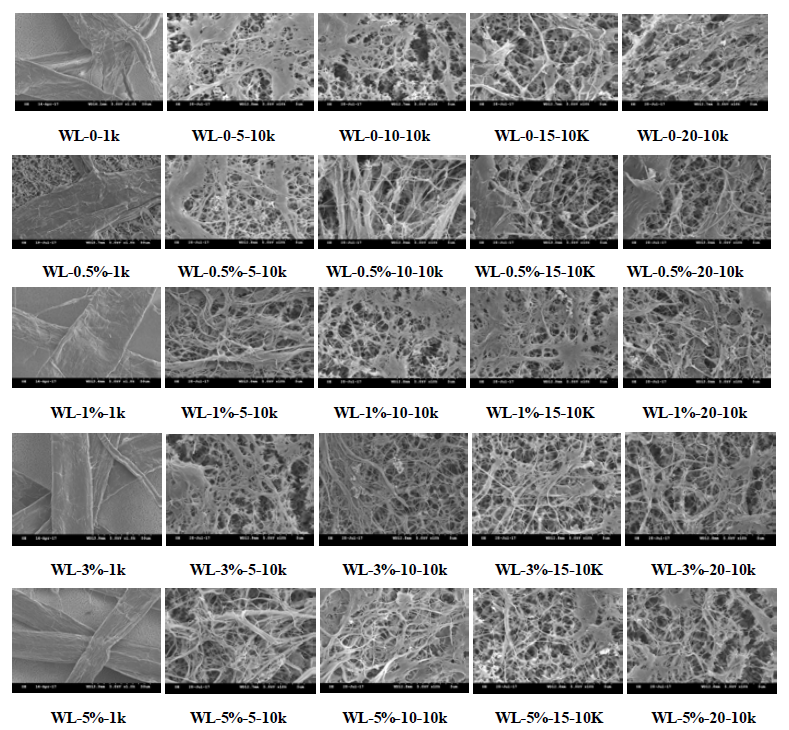 SEM image of MFCs manufactured with white ledger according to various alkali treatment conditions