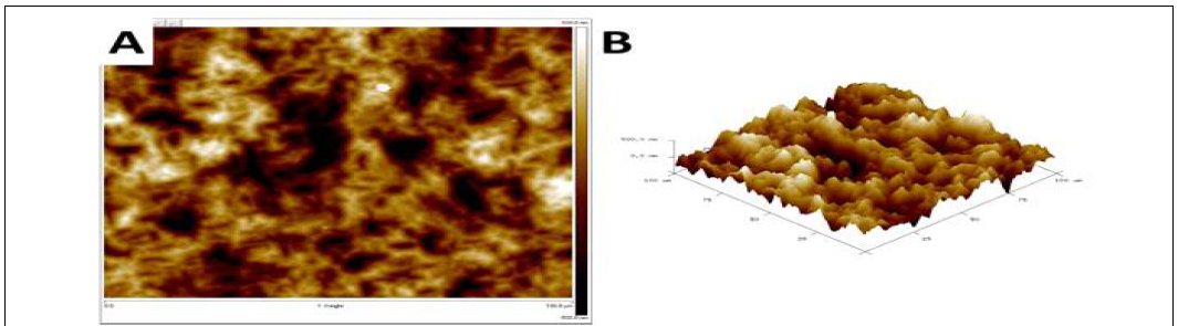 (A) 2-D AFM images of thiolated aptamers immobilized Fe bio-nanocomposites; (B) 3-D AFM images of thiolated aptamers immobilized Fe bio-nanocomposites depicting approximate size of the nanostructures