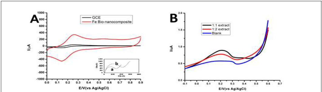 (A) CV of the thiolated aptamers immobilized Fe bio-nanocomposites hybrid-modified-electrodes in ferricyanide solution containing 0.1 molar KCl and their corresponding Nyquist plots (a) Fe modified GCE (b) aptamers/Fe modified GCE (Inset); (B) LSV of the thiolated aptamers immobilized Fe bio-nanocomposites hybrid-modified-electrodes in 0.1 M PBS buffer spiked with different concentration of B. cereus crude concentrated extract