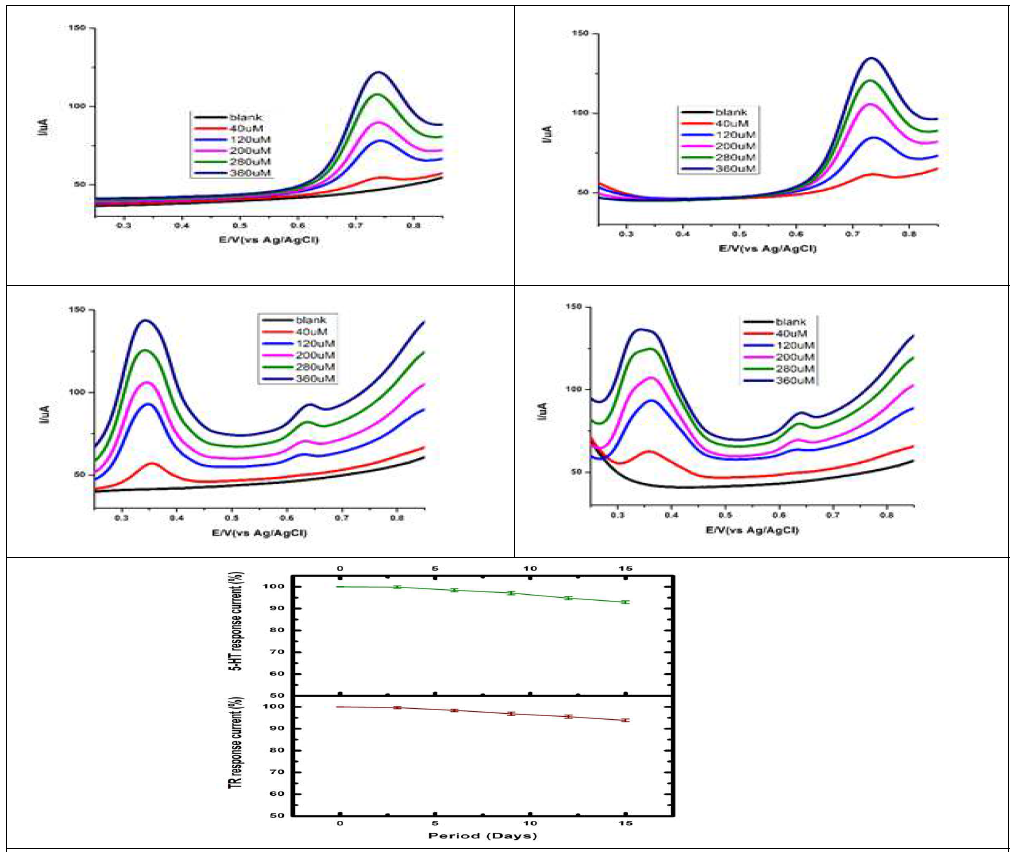 The variation of current response of PEDOT:PSS layered Au-Ag bio-nanocomposite modified electrode towards 40 μM TR and 5-HT for a period of 15 days