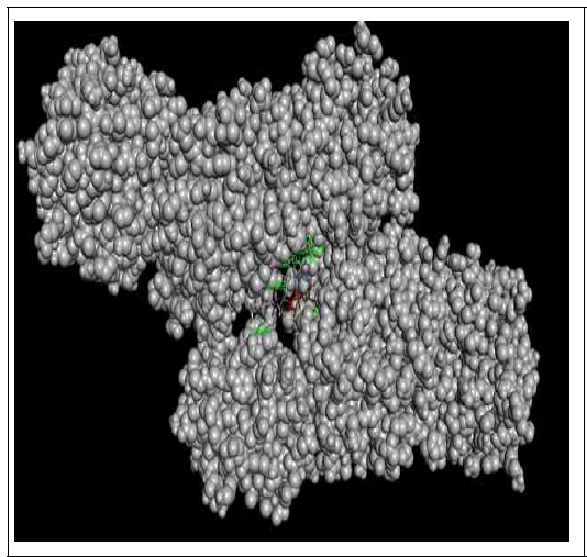 The interaction of C21H27N7O14P2 ligand with the vegetative insecticidal protein of bacillus cereus. Inset showing interaction of the ligand with the active site of the protein