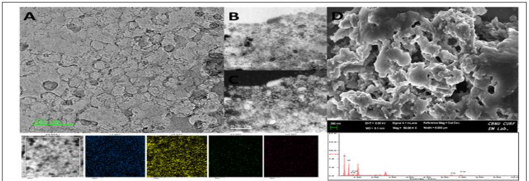 (A) Cs-FE-TEM image of cobalt ferrite @gelatin bionanocomposite with their corresponding (B) Bright-field and (C) Dark-field images (Inset- Cs-FE-TEM image mapping); (D) FE-SEM image of the cobalt ferrite @gelatin bionanocomposite with its corresponding EDAX data at the bottom