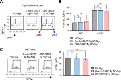NC/Nga 생쥐에서 SRG3 과발현이 흉선 상피세포의 분포 및 NKT 세포의 IL7Rα 발현에 미치는 영향 조사