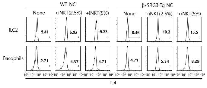 SRG3 과발현이 ILC2와 호염구에 대한 iNKT 세포의 상호작용에 미치는 영향 조사