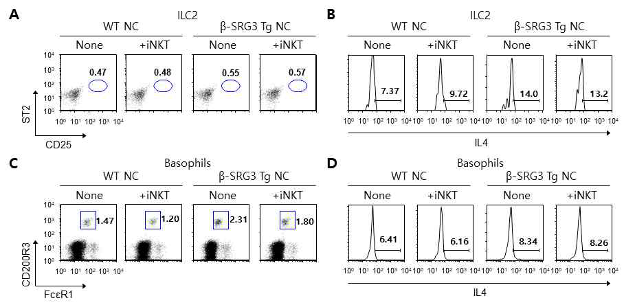 Vα14 TCR Tg NC/Nga 생쥐의 iNKT 세포에 의한 ILC2와 호염구 변화에 SRG3 과발현이 미치는 영향 조사