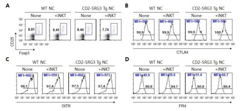 Vα14 TCR Tg NC/Nga 생쥐의 iNKT 세포에 의한 Treg 세포 변화에 SRG3 과발현이 미치는 영향 조사