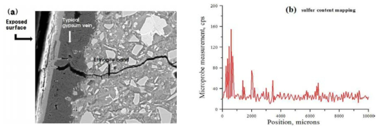 황산염침식을 받은 콘크리트의 (a) SEM image 및 (b) microprobe 측정 결과; 콘크리트의 노출표면 부근에서 sulfur가 다량으로 분포함으로써 황산염이온의 침투로 인하여 균열 및 연화현상이 발생하였으며, 콘크리트 조직체의 탈락으로 인하여 표면으로부터 약간 내부에서 sulfur의 양이 가장 많은 mapping 결과를 나타내었다