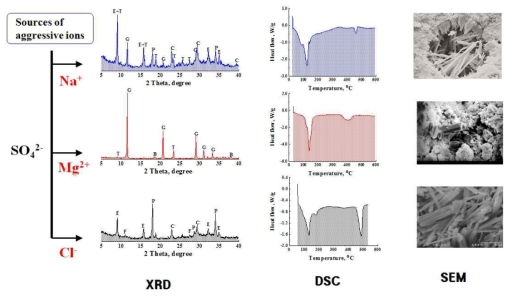 반응이온별 황산염침식을 받은 콘크리트의 미세구조적 관찰 (XRD, DSC 및 SEM 분석결과)