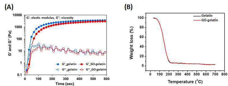 GO-gelatin 하이드로젤의 기계·열적 물성 분석: (A) Time-course viscoelastic modulus and (B) TGA profile of GO-gelatin hydrogel