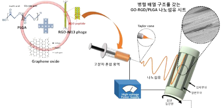 병렬 배열 구조를 갖는 GO-RGD/PLGA 나노섬유 시트 제작 공정에 대한 모식도