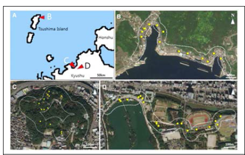 연구를 수행한 일본의 쓰미마(위)와 후쿠오카 공원(아래, 좌)과 유적지(아래, 우)