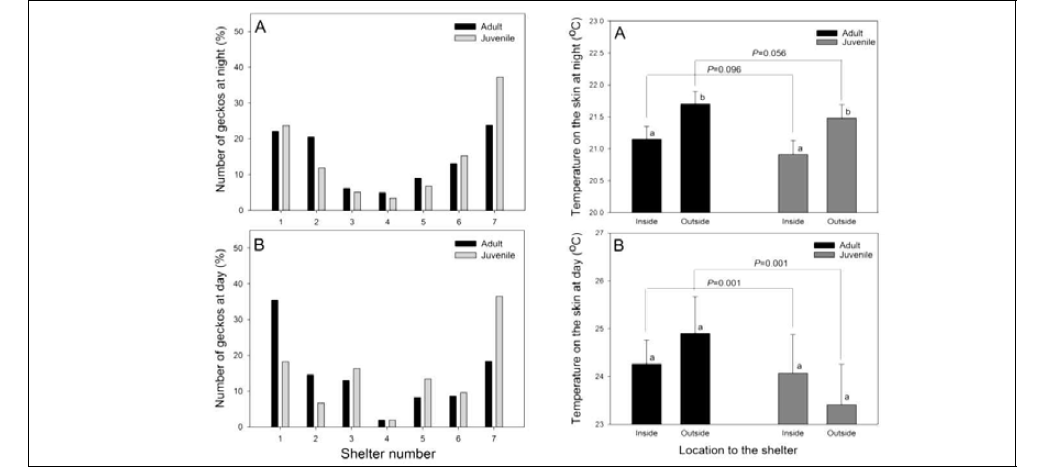 밤과 낮별, 성체와 유생의 은신처 선택(좌) 및 위치에 따른 성체와 유생의 체온 차이(우)