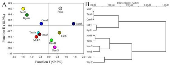 (A) Distributions and (B) cluster dendrograms based on the mean discriminant scores of the snout-vent length standardized morphological data for 11 Gekko japonicus populations across China (YanC, WenZ), Japan (Tsush, Fuku, InnoS, Kyoto), and Korea (MokP, KimH, NatH, ComP, NamS)