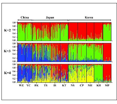 Results of genetic structure using a Bayesian population assignment test with STRUCTURE across Chinese, Japanese, and Korean populations of Gekko japonicus, based on seven microsatellite markers. Each individual is represented along the X-axis, and the Y-axis denotes the probability of that individual belonging to each of the genetic clusters. The most likely number of genetic clusters after Delta K Evanno’s correction were similar for K = 4 (△ K = 102.76) and K = 2 (△ K = 99.63)