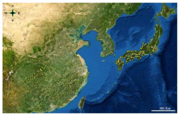 Presence records of Gekko japonicus in China, Japan, and Korea, which were used in the MaxEnt species distribution modeling