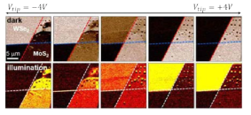 WSe2/MoS2 이종접합 구조에 대한 전기 전도도 (위) 및 광전하(아래)의 국지적 gating 효과 mapping