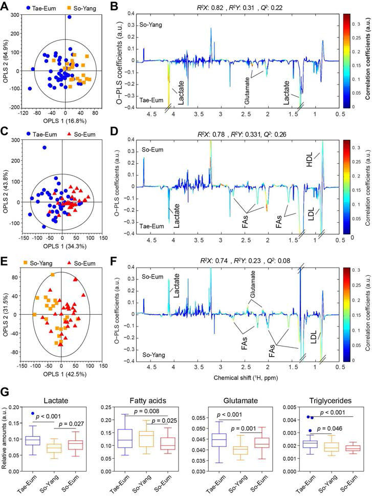 OPLS-DA score (A, C, E) and loading (B, D, F) plots derived from 1H NMR spectra from serum samples to compared metabolites changes by sasang constitution. Reliabilities and predictabilities of OPLS-DA models were indicated by R2X and Q2, respectively. HDL, high-density lipoprotein; LDL, low-density lipoprotein; FAs, fatty acids. Panels (G) show scatter dot plots of identified metabolites contributing to differentiation in OPLS-DA models (VIP > 1.0 and p < 0.05)