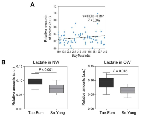 Comparison of lactate intensity of experimental groups according to body mass index (BMI, 18.9-24.3)(A). Panel (B) showed difference in serum lactate contents between Tae-Eum and So-Yang types with normal weight and overweight, demonstrating metabolic dependence of serum lactate level on SC types. Values are presented as mean±SD. Different alphabets indicate significant differences among groups by Duncan's test at p < 0.05. NW, nornal weight; OW, overweight