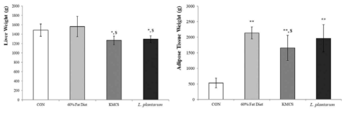 KMCS inhibited liver weight gain and adipose tissue increment which were induced by high fat diet. CON, control group; 60% Fat Diet, 60% fat diet treatment group; KMCS, treatment group; L. plantarum, L. plantarum treatment group. CON vs *p<0.05; CON vs **p<0.001; 60% fat diet treatment vs $p<0.05. 그림 교체예정