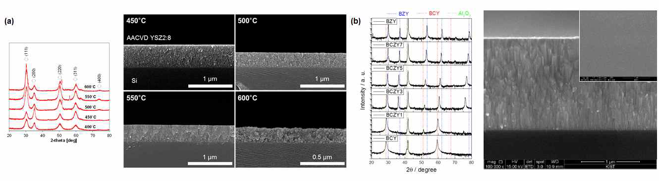 프로톤 전도성 세라믹 소재의 결정성 및 미세구조 분석 결과, (a)AACVD, (Jang et al., JECS, 2017) (b)PLD, (Bae et al., Nat. Commun., 2017)