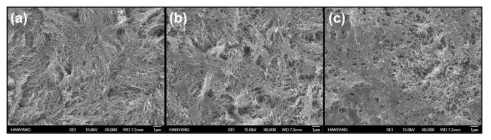 (a) TeO2 나노선, (b) TeO2 나노선 – RGO 0.05 ml, (c) TeO2 나노선 – RGO 0.1 ml SEM 분석 사진