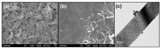 (a) RGO-TeO2-Au 하이브리드 나노 구조체 SEM 저해상도 이미지, (b) RGO-TeO2-Au 하이브리드 나노 구조체 SEM 고해상도 이미지, (c) RGO-TeO2-Au 하이브리드 나노 구조체의 TeO2 나노선 위의 형성된 Au TEM 이미지