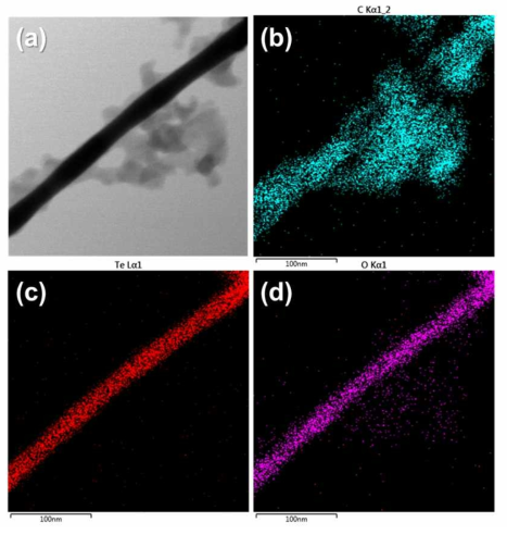 (a) TeO2-Au-C 하이브리드 나노 구조체 TEM 이미지, Elemental Mapping 이미지 (b) C, (c) Te, (d) O 원소분석