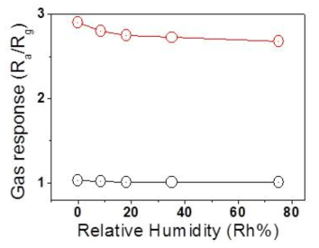 TeO2 나노선(검은색)의 및 TeO2-Au-C 하이브리드 나노 구조체(붉은색)의 습도영향에 따른 NO2 가스센싱 감응도 변화