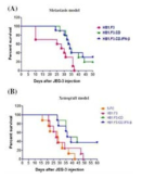 전이 및 xenograft 모델에서 mouse의 생존율 비교