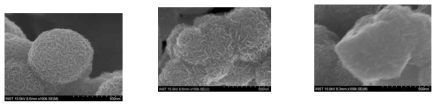 SEM images of solvothermal MoS2 precipitate: a) Before calcination, b) calcination at 500 oC, c) 800 oC