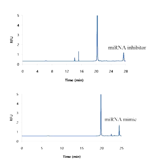 miRNA inhibitor 및 mimic 의 검출을 위해 DNA probe 와 hybridization 후 형광을 가진 모세관 전기영동 장치를 통해 DNA probe 와 결합한 miRNA inhibitor 와 miRNA mimic의 검출