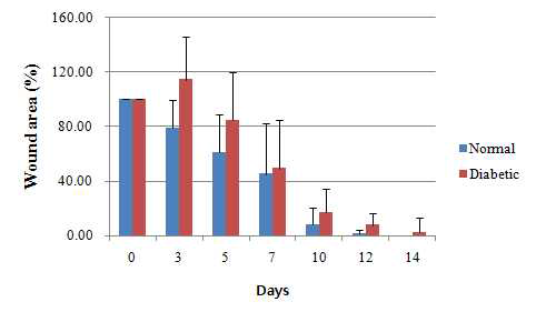 정상 및 당뇨모델의 마우스에 상처를 낸 후 상처 직 후 및 14일간 상처 촬영을 통해 상처의 면적을 측정하여 상처 직후 면적을 기준으로 줄어든 상처의 면적을 (%)로 나타냄