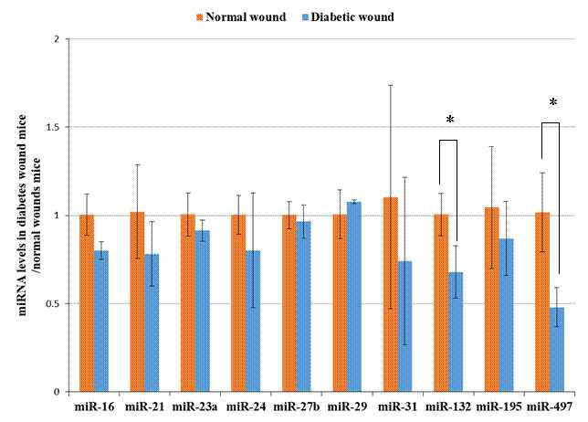 정상 및 당뇨모델의 마우스에 상처를 낸 후 3일차에서 피부조직을 취해 miRNA를 프로파일링 한 결과 miRNA-497의 레벨이 정상에 비해 뚜렷이 낮음을 확인