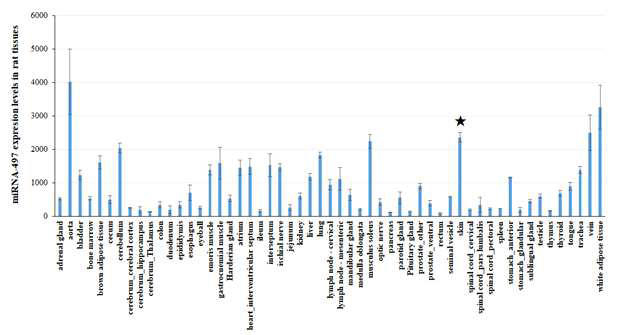 GEO database를 통한 쥐의 tissue에 따른 miRNA-497의 분포