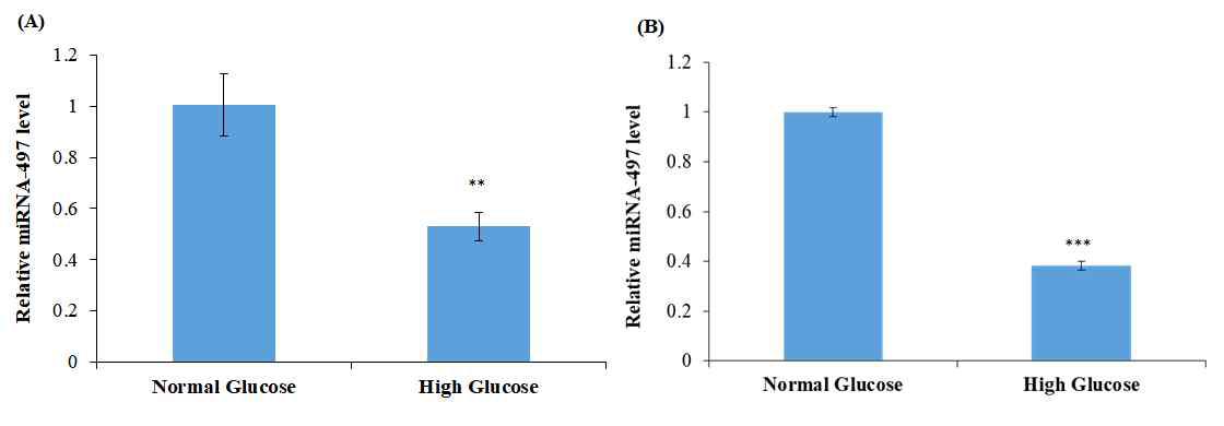 (A) HDF 과 (B) WI38 cells 로부터 정상 혈당에 이해 hyperglycemia 에서 miRNA-497 의 발현 레벨 비교