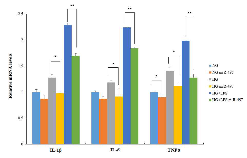 정상 및 hyperglycemia HDF 세포 내 LPS 및 miRNA-497 처리 후 pro-inflammation cytokines의 발현량의 변화