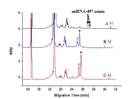 모세관 전기영동법을 이용하여 분석한 miRNA-497 mimic의 electropherogram. 3개의 업체에서 합성된 miRNA-497 mimic은 모두 2개의 peak로 나타나 순도가 모두 비슷함을 확인. Intensity 의 경우 A사에서 합성된 miRNA-497의 경우 intensity가 다른 업체에 비해 매우 낮음을 확인함