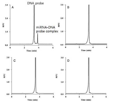 Hybridization 의 특이성 (A) 5 nM miRNA499와 이에 특이적인 DNA probe 를 사용하여 hybridization 할 경우 miRNA와 DNA probe 와의 complex 형성됨. (B) miRNA499와 1nt의 sequence의 차이를 가지는 miRNA를 사용 할 경우, (C) miRNA 499와 5nt의 sequence의 차이를 가지는 miRNA를 사용 할 경우, (D) miRNA499와 전혀 다른 sequence 를 가지는 miRNA를 사용하는 경우 miRNA499에 특이적인 DNA probe 와 hybridization에 의해 miRNA와 DNA probe 와의 complex 가형성되지 않음