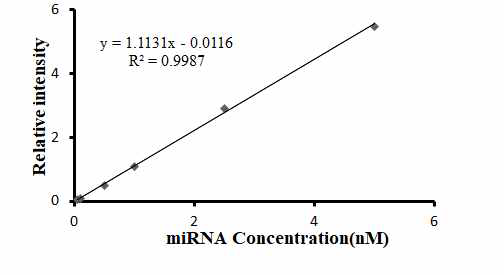 Hybridization 에 의한 miRNA의 농도에 따른 직선성 확인