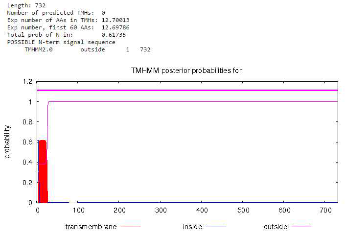 The protein is localized on the surface with a small N-terminal transmembrane domain consisting of the first 12 amino acids (refer the color code above)