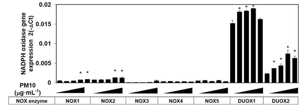 미세먼지에 의한 상대적인 NADPH oxidase의 mRNA 발현