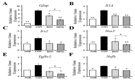 염기서열로 식별된 유전자의 qRT-PCR 검증. (A) Gfap, (B) Il1A, (C) Irs2, (D) Nos3, (E) Tgfbr2 및 (F) Nefh의 mRNA의 표현