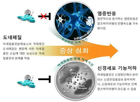 현 알츠하이머병 치료제의 기전과 한계